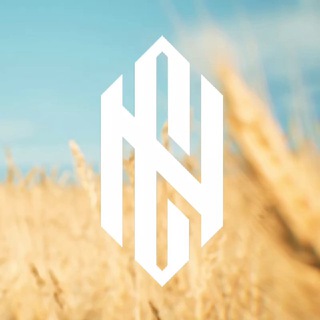 Telegram profile photo for CYBERNATION.TEAM | THREEDAYZ