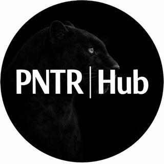 Telegram profile photo for PNTR|hub