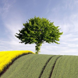 Telegram group profile photo for 🌻 Агро Україна 🇺🇦 - Аграрний Чат