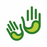 Telegram profile photo for Фестивальная экологика