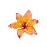 Telegram profile photo for ׄ𝗆1𝗇𝖺 𝗂𝗇𝖿0