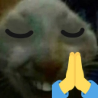 Telegram profile photo for Twitch Church