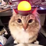 Telegram profile photo for илюша я