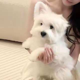 Telegram profile photo for 雨花区🏠思颖的小巢(开课中)