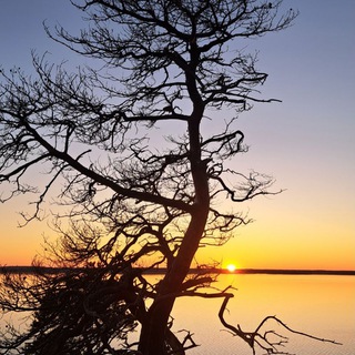 Telegram profile photo for Insel UseDOM (VG)