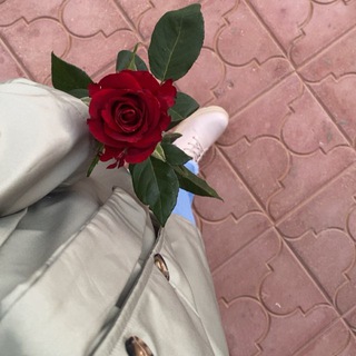 Telegram profile photo for نِيُلوفࢪ