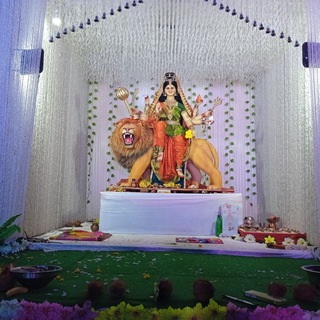 Telegram profile photo for SESSION KING IPL