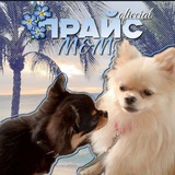 Telegram profile photo for Прайс M&M