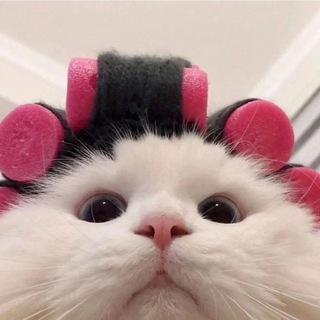 Telegram profile photo for Fedota