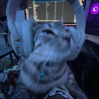 Telegram profile photo for ๐ษฆฮฑ๐ฃ๐ฃ๐พแฅฃ ๐๐ ๐ฮฑ๐๐ ๐โฑบโฑบ๐ฃแฅซแญก
