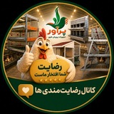 Telegram profile photo for نتایج پرآور