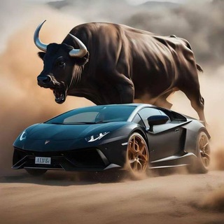 Telegram profile photo for XAUUSD(黄金)VIP信号