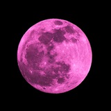 Telegram profile photo for TreepA##&