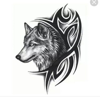 Telegram group profile photo for Suslov_ZOV чат