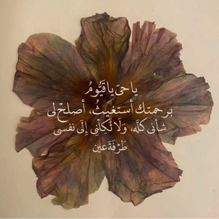Telegram profile photo for مِسك