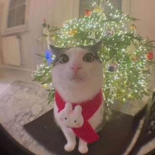 Telegram profile photo for Крутим, вертим жернова