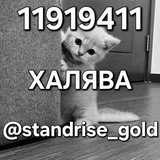 Telegram profile photo for StandRise Раздачи🔥