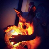 Telegram profile photo for CASH GAMES