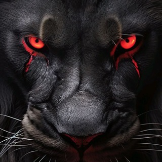 Telegram profile photo for KING STYLE