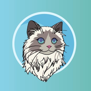 Telegram profile photo for MASYA FIRST DEPLOYED
