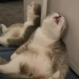 Telegram profile photo for Channel for sell