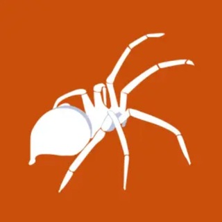 Telegram profile photo for CVE DATABASE