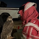 Telegram profile photo for 𝟓𝟎𝟏 - لۅٛآء الـعَمَآلِقَة ۦٰ۪ۛﮧ
