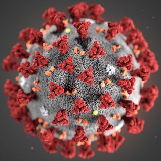 Telegram profile photo for Coronavirus-Ticker SARS-CoV-2, Covid-19 Wuhan aktuell - Pandemie länger überleben durch rechtzeitige Information via Telegram