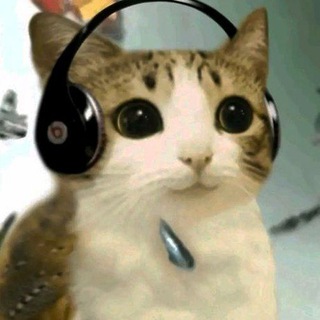Telegram profile photo for бутка варениша 🧶
