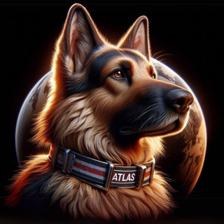 Telegram profile photo for JDVANCE’S DOG -ATLAS🐕