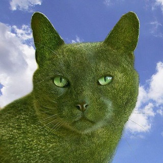 Telegram profile photo for пелена