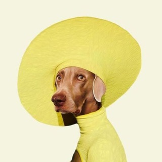 Telegram profile photo for Neiro's Wife $NARA