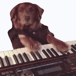 Telegram profile photo for KeyDog portal