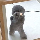 Telegram profile photo for pacemaker