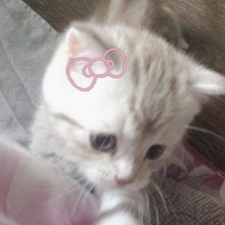 Telegram profile photo for louriette – s archive ୨୧