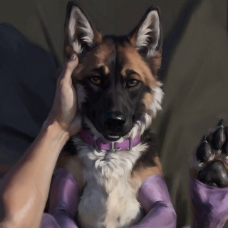 Telegram profile photo for Instructions for a private group