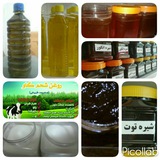 Telegram profile photo for احیای سلامت