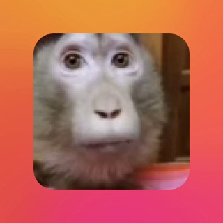 Telegram profile photo for ОТЗЫВЫ BOSSXL