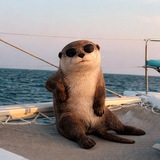 Telegram profile photo for Скинь креатитьки 🦦