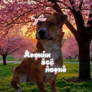 Telegram profile photo for Джонни всё можно💗🐶