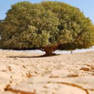 Telegram profile photo for داستانهای واقعی موفقیت