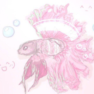 Telegram profile photo for ❁ ࿔*: Sᴏᴀᴩ's ᴄlᴇᴀn ᴄhᴀnnᴇl!¡