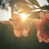 Telegram profile photo for كن مثابراً