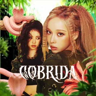 Telegram profile photo for Cobrida