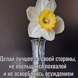 Telegram profile photo for ВЕРА, КОТОРОЙ Я ЖИВУ🤎