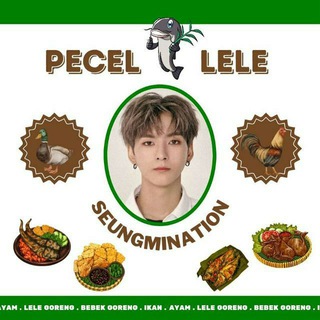 Telegram profile photo for SEUNGMINATION