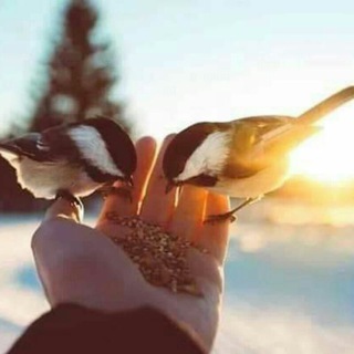 Telegram profile photo for عشاق اليالي والسهر love😍😍😍