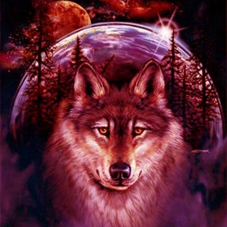 Telegram profile photo for Trader market-wolf🐺