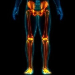 Telegram profile photo for Inferior extremity anatomy