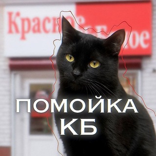 Telegram profile photo for помойка кб